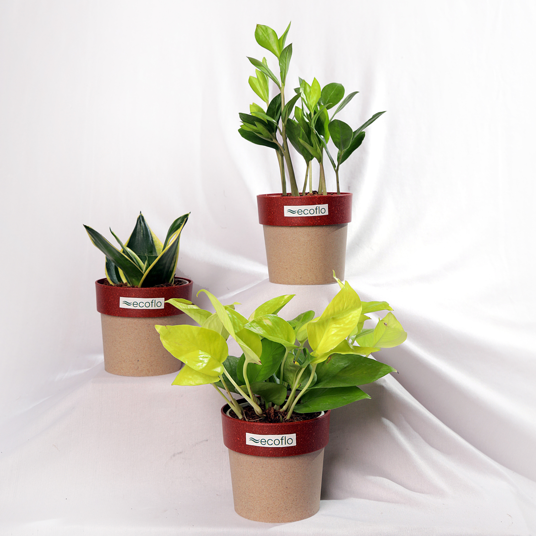 Beginner Trio – Golden Glow Set