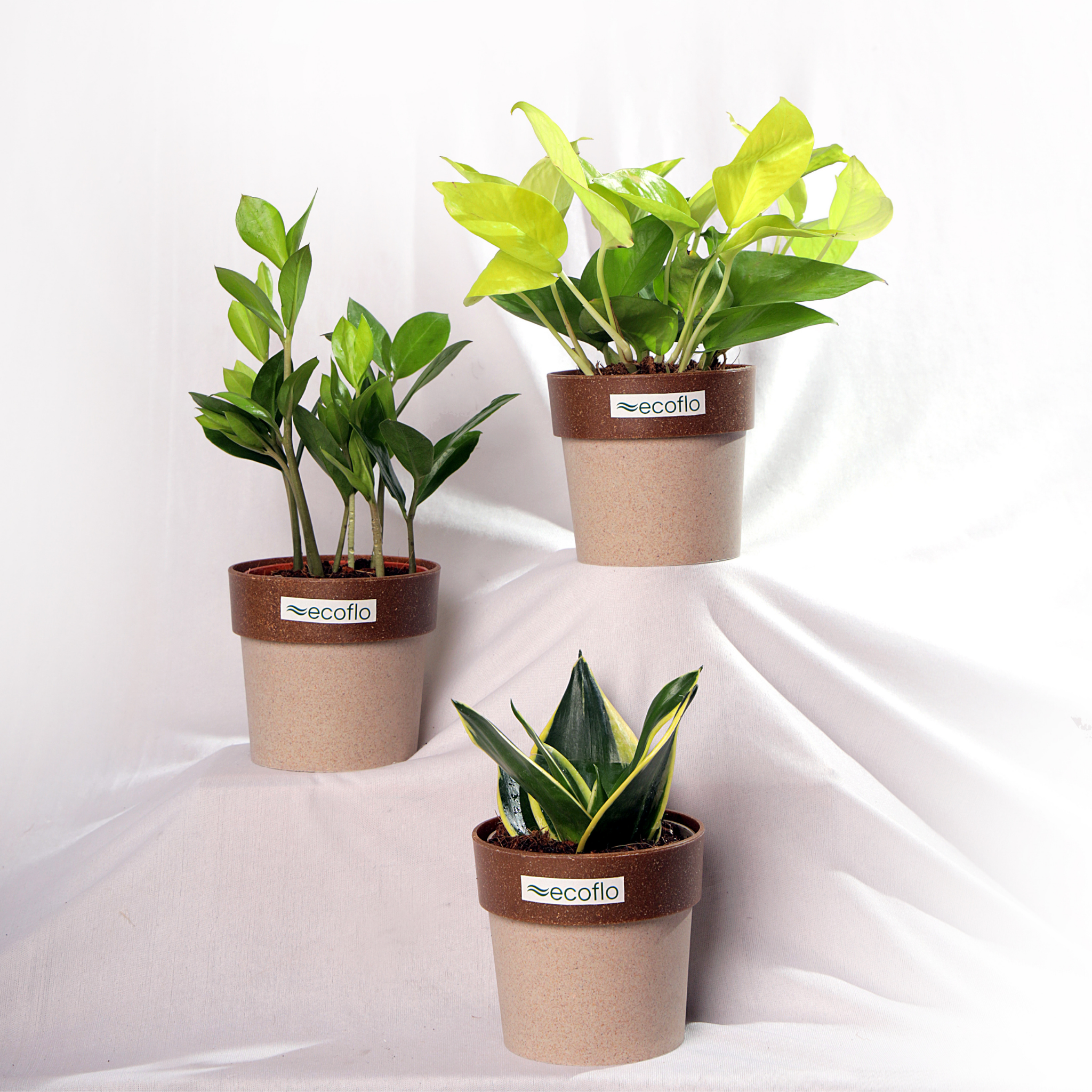 Beginner Trio – Golden Glow Set
