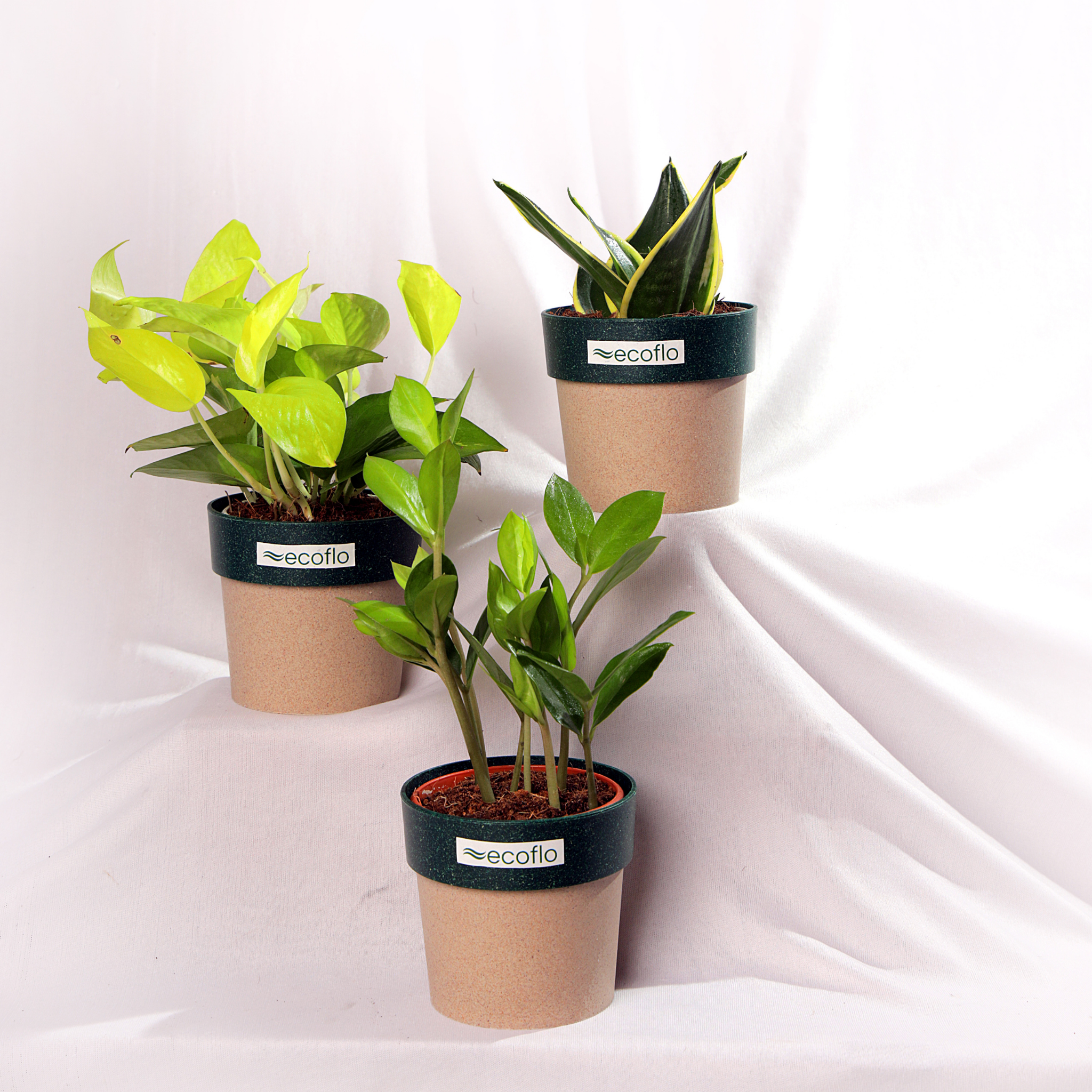 Beginner Trio – Golden Glow Set