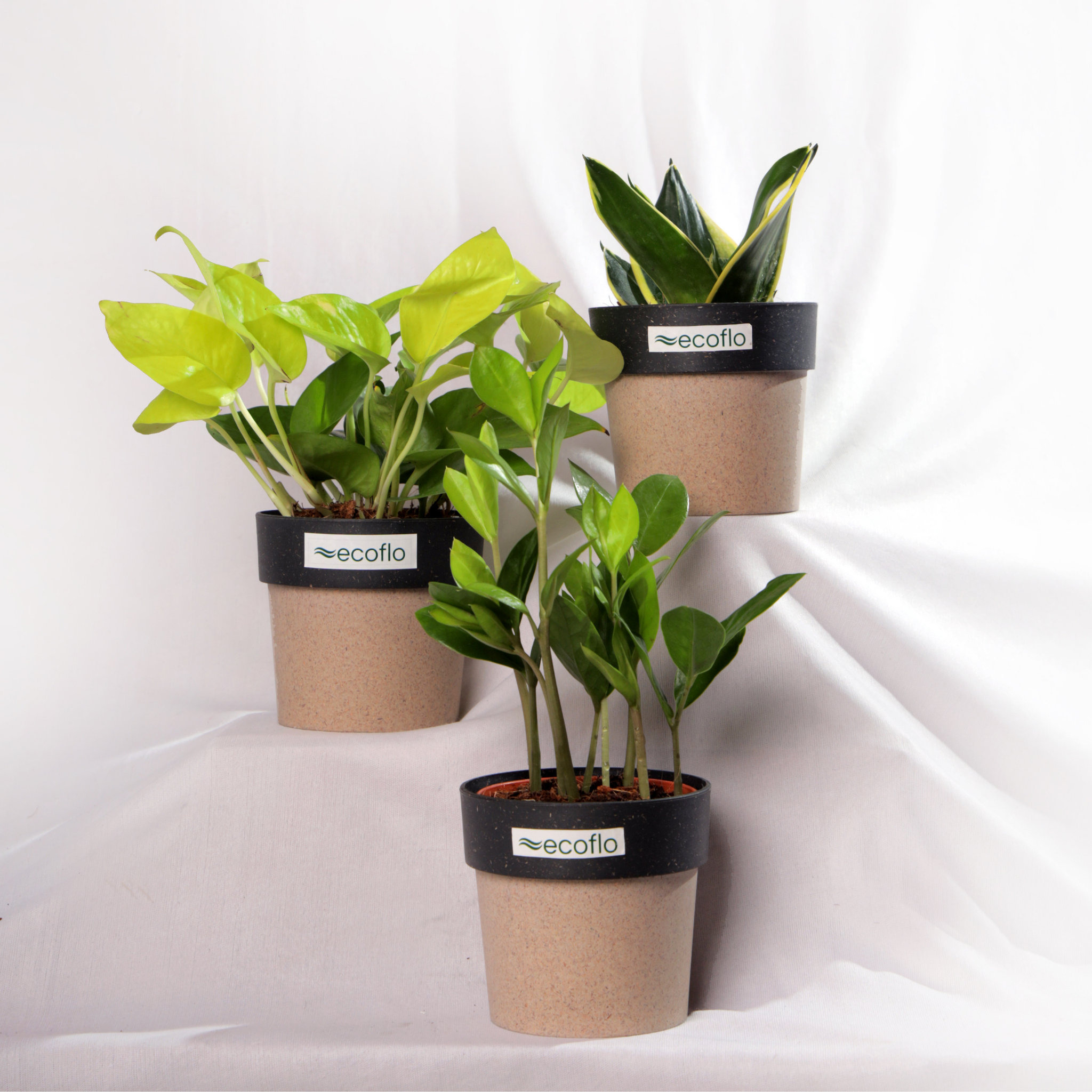 Beginner Trio – Golden Glow Set