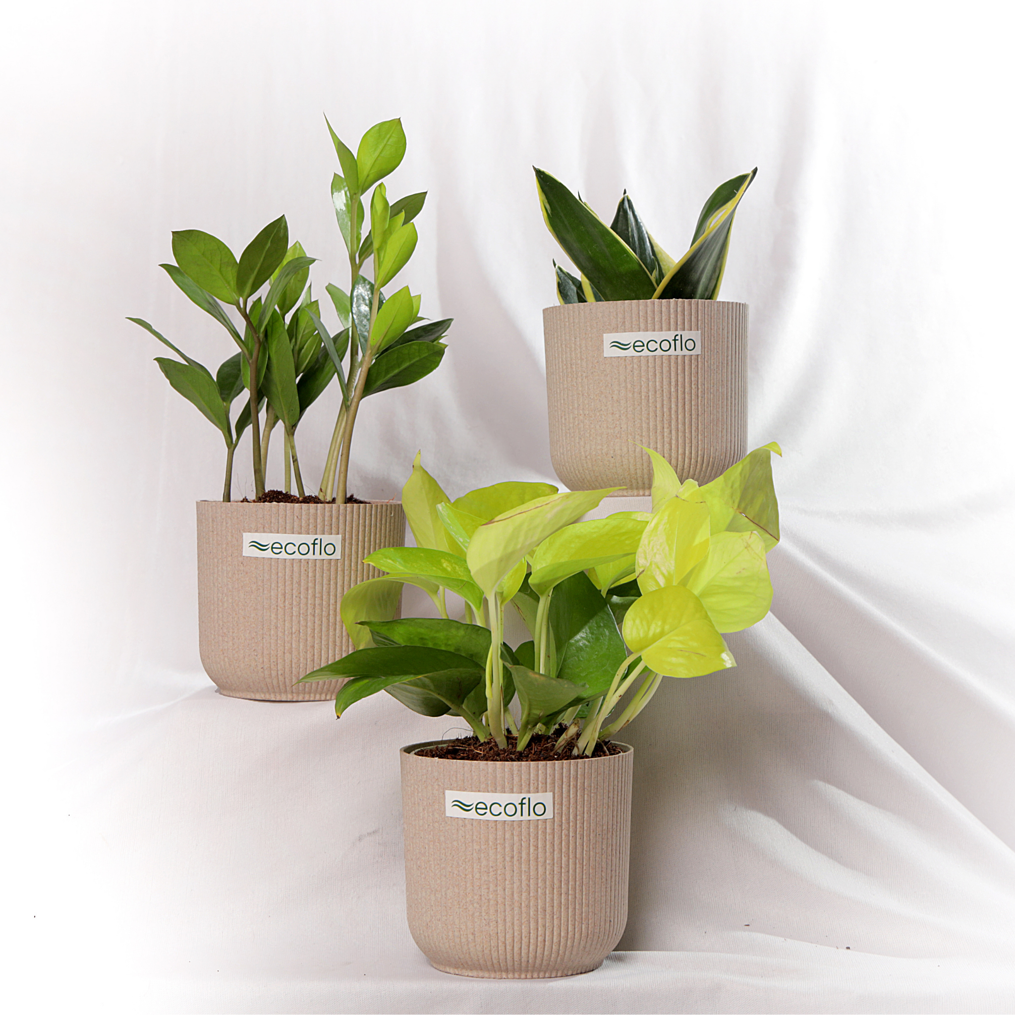 Beginner Trio – Golden Glow Set