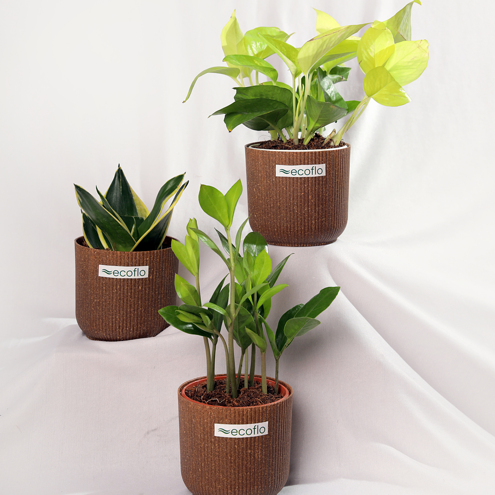 Beginner Trio – Golden Glow Set