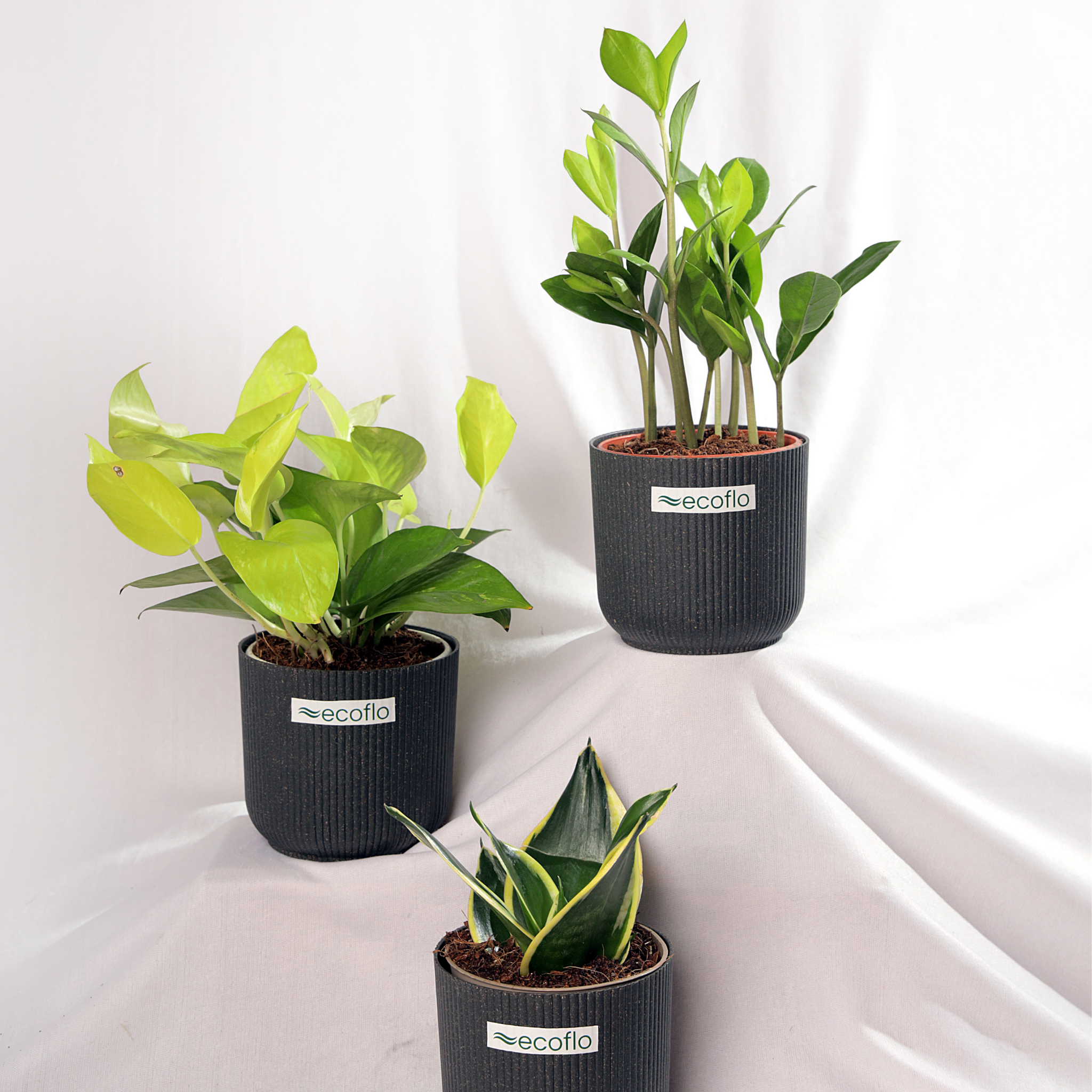Beginner Trio – Golden Glow Set