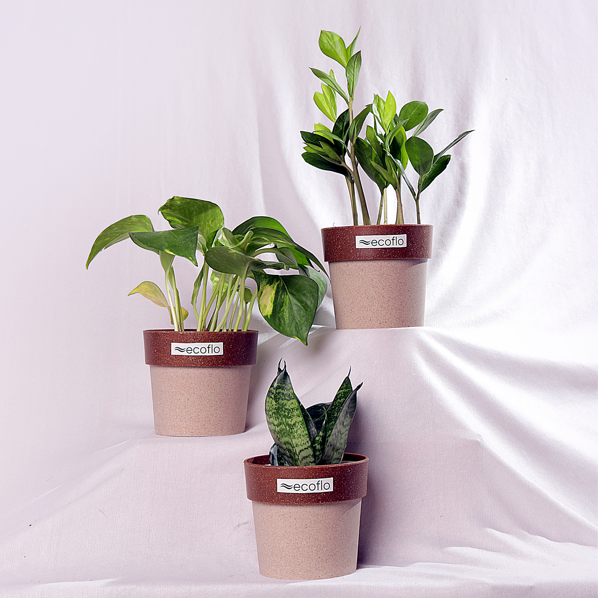 Beginner Trio – Tropical Classic Set