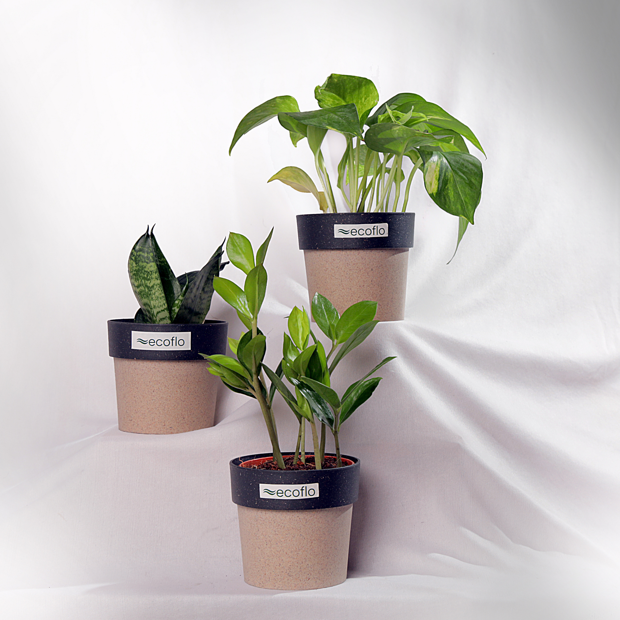 Beginner Trio – Tropical Classic Set