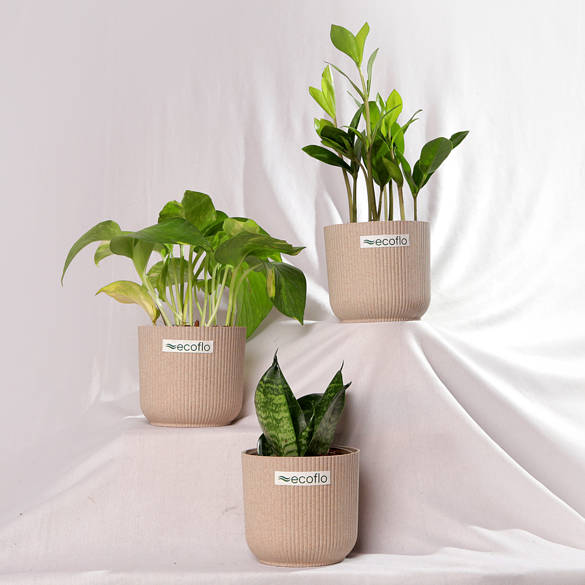 Beginner Trio – Tropical Classic Set